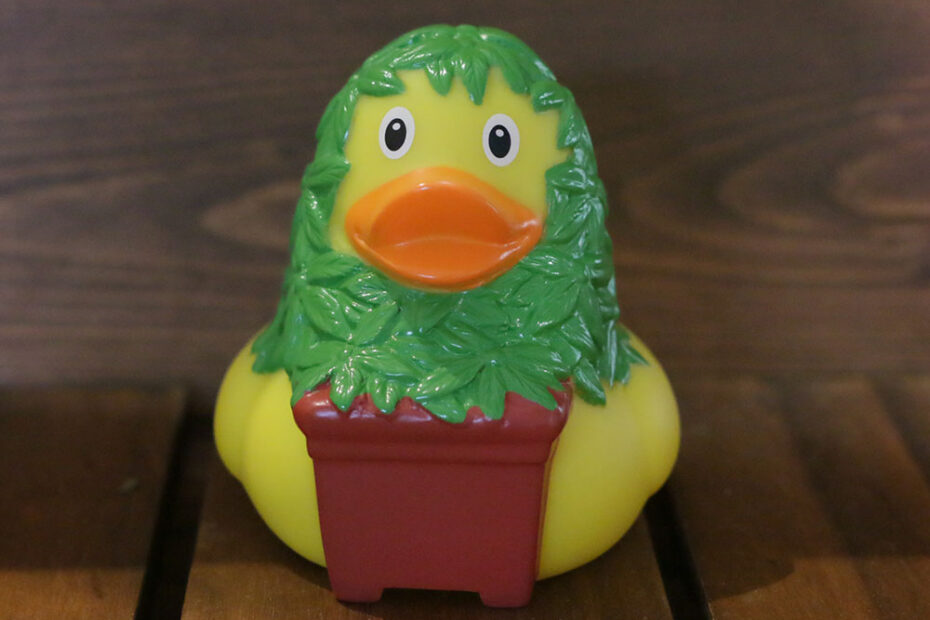 hemp duck ラバーダック アヒル ducks lilalu