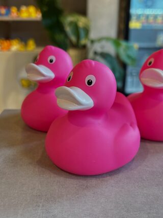 ラバーダック専門店 - Ducks